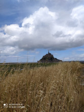 Le Mont-Saint-Michel normand